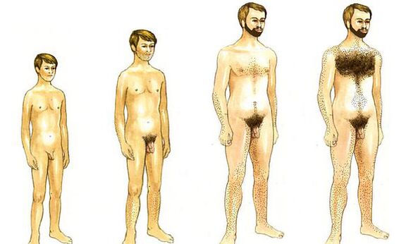 dospievanie muža a veľkosť penisu