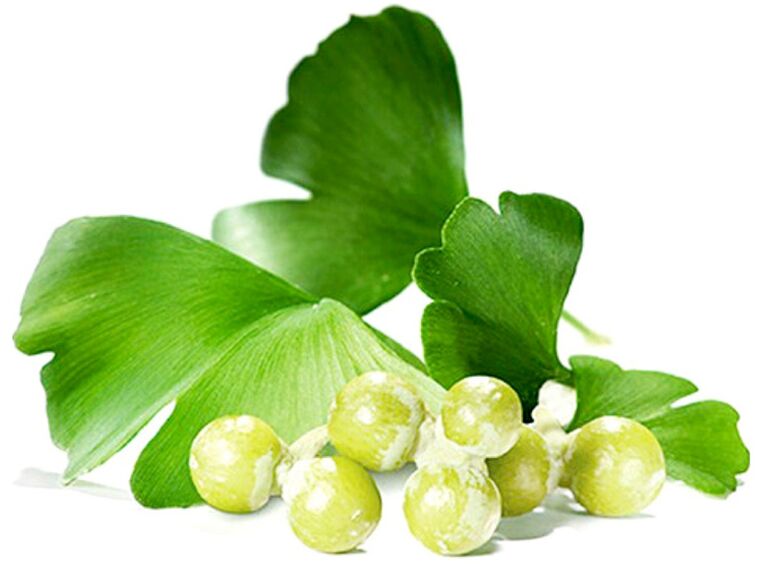 Listy Ginkgo biloba zlepšujú krvný obeh v tkanivách penisu